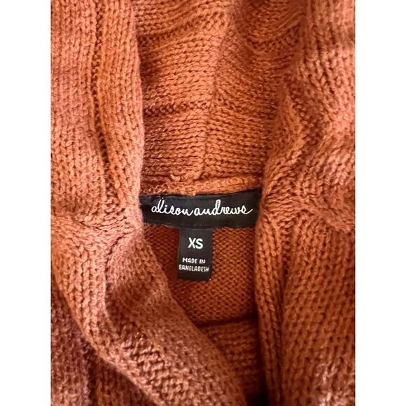 Alison Andrews Pullover Cowl Turtleneck Dress with Pockets Brownish Orange Sz XS - Picture 7 of 14